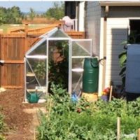 Accelerate your growing with a greenhouse