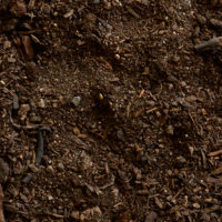 Soil Blends